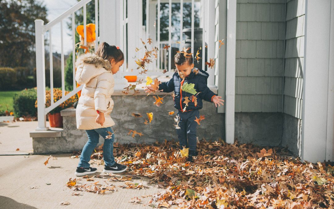 Autumn Fun…
