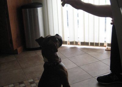 happy-burday-penny-11-years-with-our-old-lady