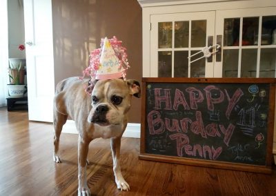 happy-burday-penny-11-years-with-our-old-lady