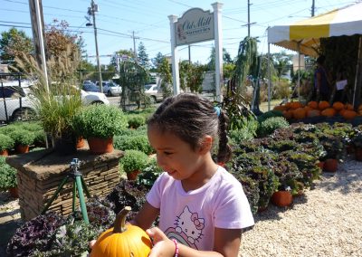 shopping-for-fall-flowers