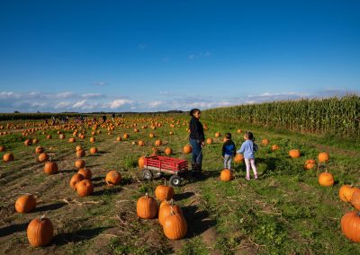 windy-acres-farm-2018