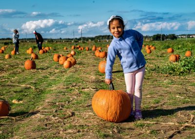 windy-acres-farm-2018