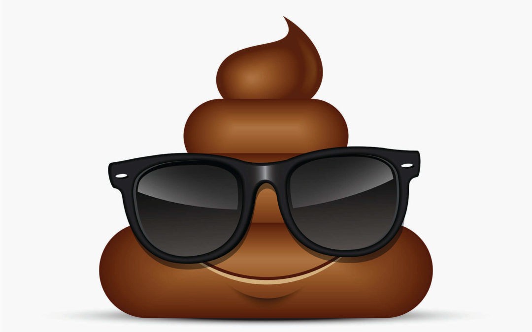 Poopie Emoji Playdoh