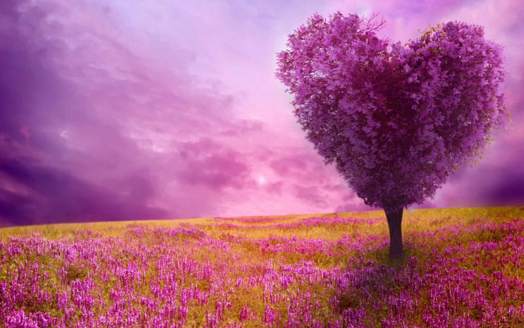 Spring 2019 Celebration