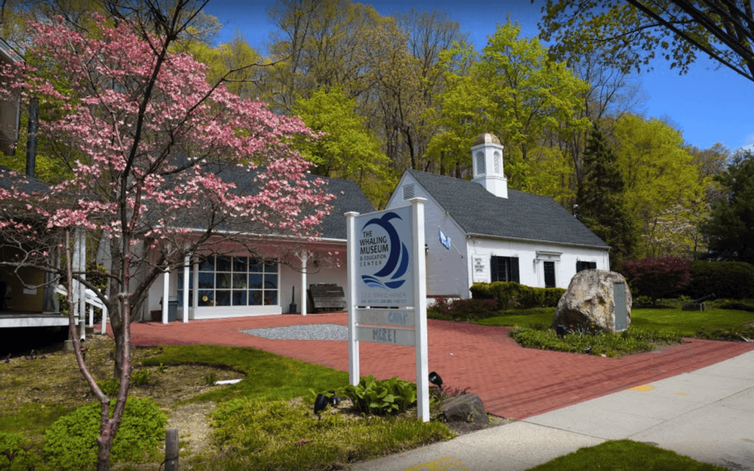Whaling Museum Class Trip