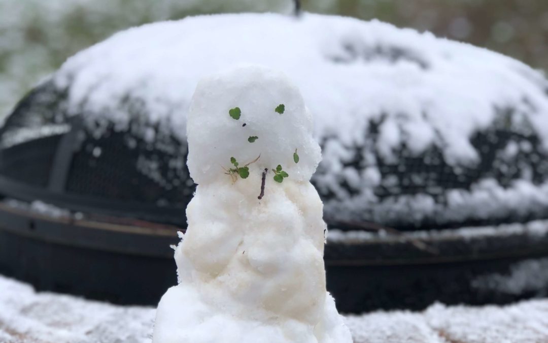 Tennessee Winter Fun