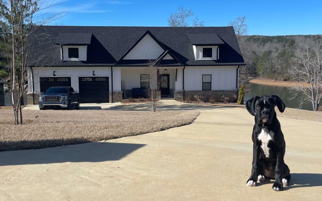 Dixie at the Lake House